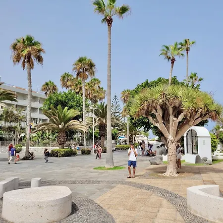 Palm Avenue - Adults Only - * Πουέρτο Ντε Λα Κρουζ